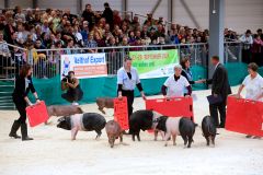 Schaubild mit Schweinen anlässlich der Grünen Tage Thüringen 2024
© Messe Erfurt