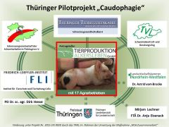 Pilotprojekt Übersicht
© Pilotprojektgruppe